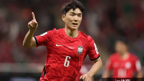 2026最新攻略：如何高效运用
